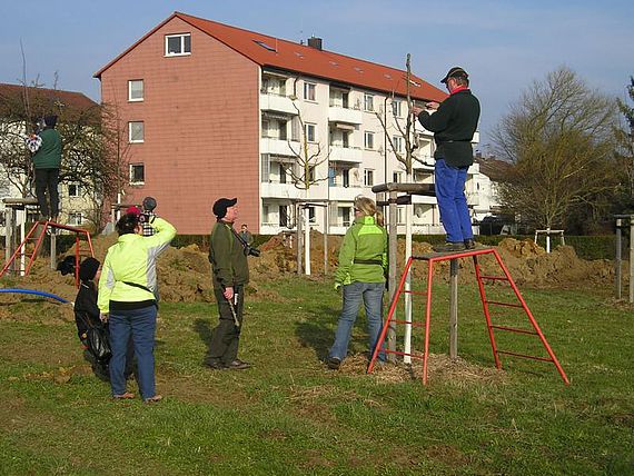 Fachwarte Schwäbisch Gmünd bei Baumschnitt